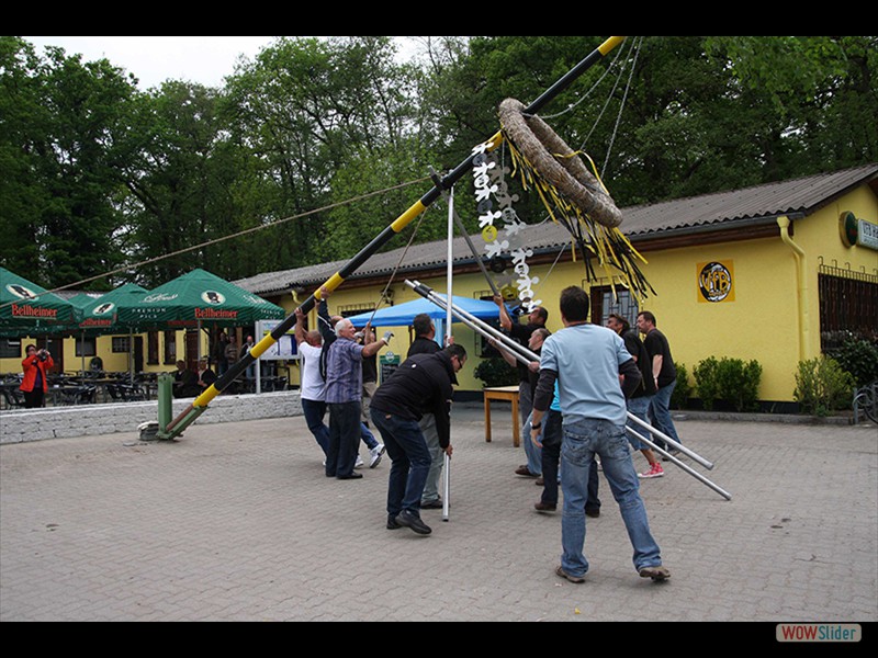 Maibaum stellen 2015